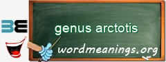 WordMeaning blackboard for genus arctotis